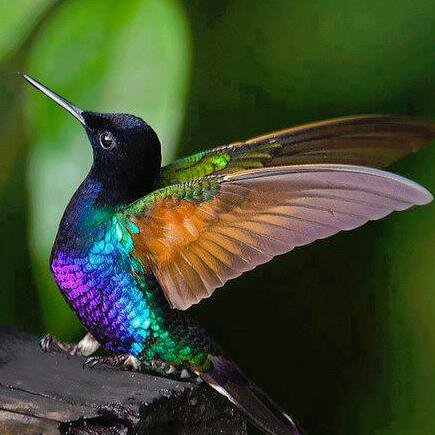 PJREver61's profile picture. Happily married to my high school sweetheart. Have three kids, two boys & one daughter. Have seven grandkids, 4 granddaughters & 3 grandson