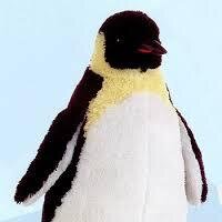 plushbot's profile picture. A stuffed penguin