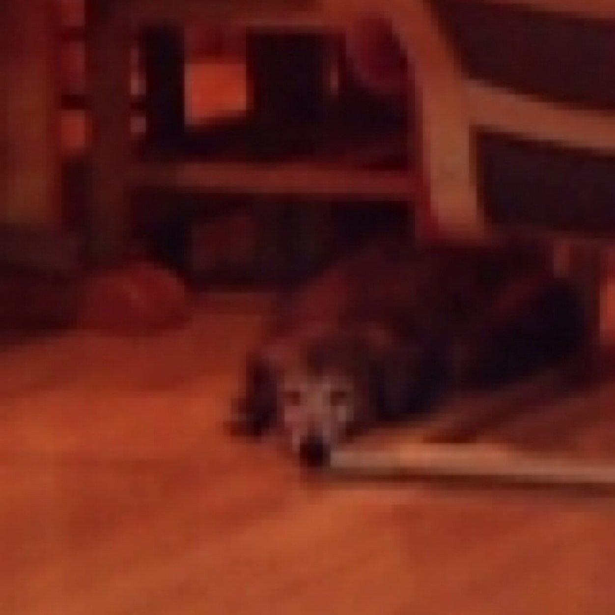 HK_devguru's profile picture. 