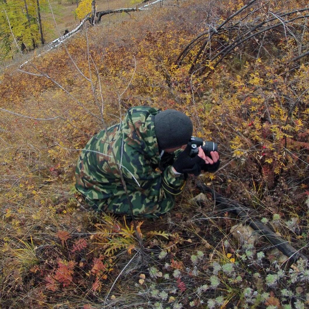 Sarkazi75's profile picture. 