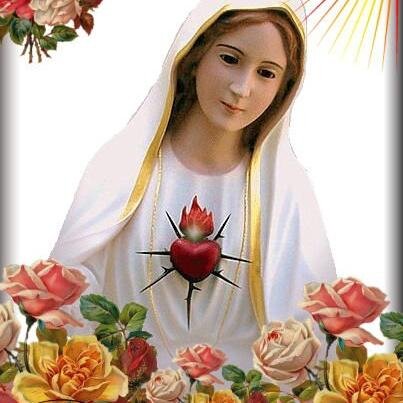 GKatiusca's profile picture. 