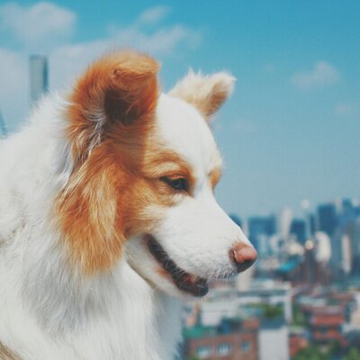 mrmindtrip's profile image