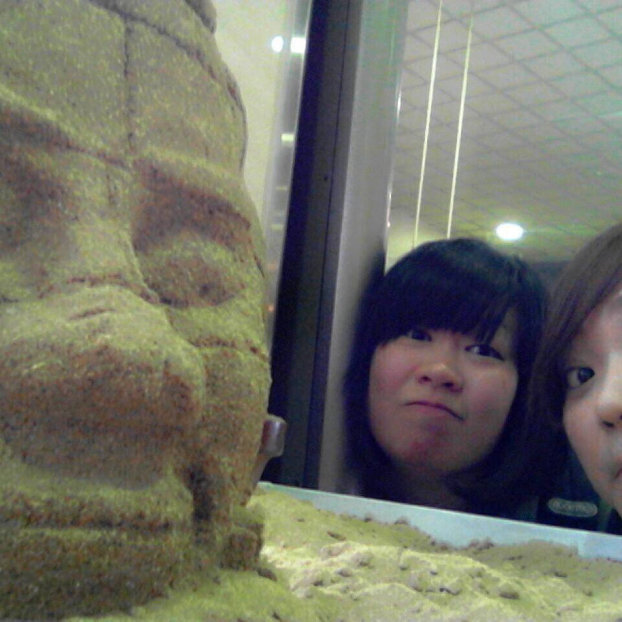 naachooon's profile picture. eight.west.tvxq.fes.ekiden