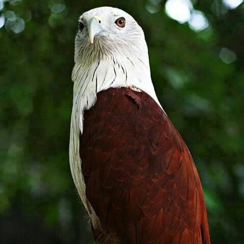 BodyAtia42 Profile Picture