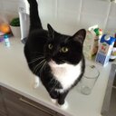 Holly Fine - @FineHolly - Twitter