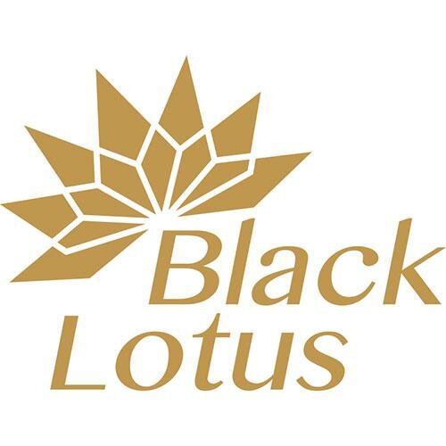 Black_Lotus_HL Profile Picture