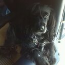 Maria José Requejo - @MarRequejo - Twitter