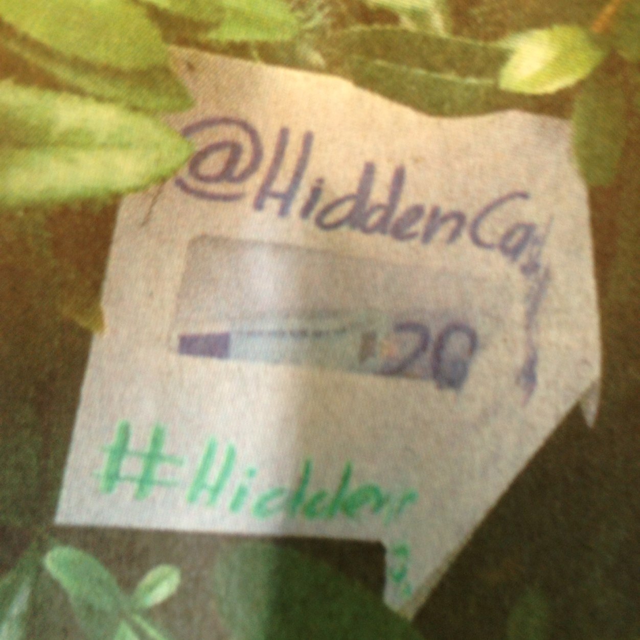 Hidden Cash is nu ook in Deventer! Een gulle gever verstopt geld in de stad en omgeving, aanwijzingen hier te vinden. Gevonden? Tag @HiddenCashDev + foto!