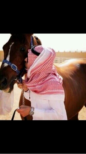 ‏‏. كن عزيزاً وإياك ان تنحني ، مھما كان الأمر ضرورياً ، فربم لا تأتيك الفرصة كي ترفع رأسك مره اخرى ..(متذوق للشعر )