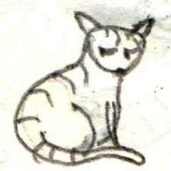 drawagainst's profile picture. acc for tumblr updates