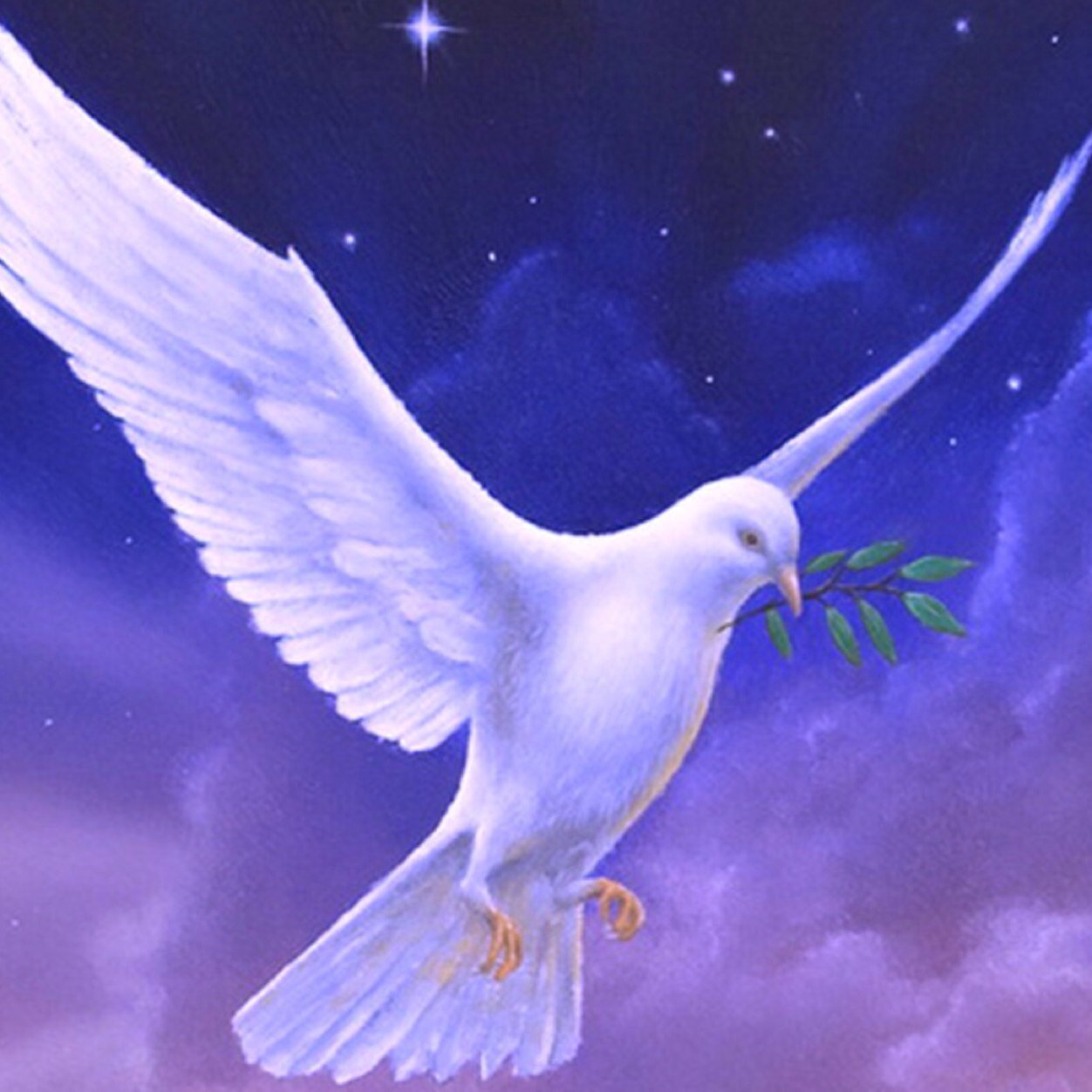 ColombeI's profile picture. 