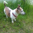 Mandy Ruben - @RubenMandy - Twitter