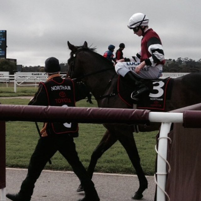 Western Australian 
Apprentice Jockey