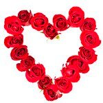 RozaliyaT8dof's profile picture. Только тогда легко жить с человеком, когда не считаешь ни себя выше, лучше его, ни его выше и лучше себя.