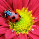 Rosa Cadena - @rosetafloreta - Twitter