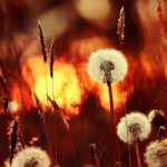 AlevtinUcL's profile picture. Что безнравственно, то, как бы оно ни скрывалось, все-таки не может никоим образом сделаться нравственным.