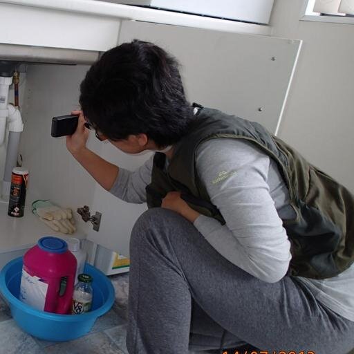providing building inspection services within Auckland
