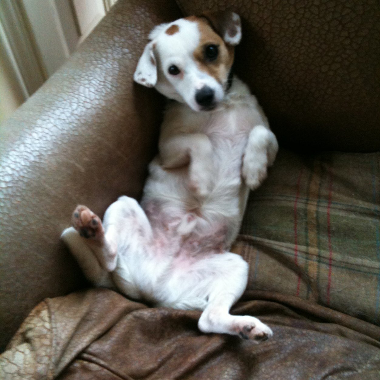 caturner1's profile picture. my Mastodon is @carolyn@awscommunity.social