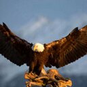 adam blade - @28Adam16 - Twitter