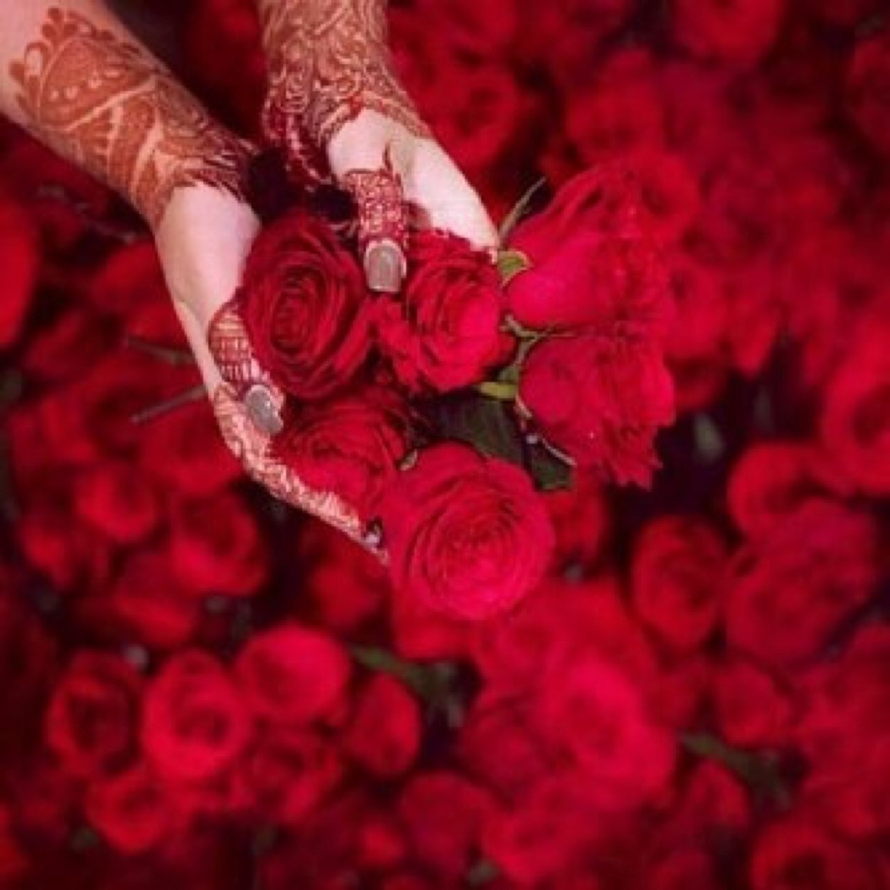 الجمال من كان بهم عرق #زعابي  فما بالك لو كانوا #زعابيه أبًا عن جّد. عذرا الخاص ممنوع