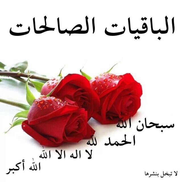 ‏‏‏‏‏‏يآ ربْ ؛ كُنْ بِقربي فِي كُل خَطوآتي ، فآنآ بِقربكْ أطمَئِنْ ♥:). مفضلتي مما راق لي✿