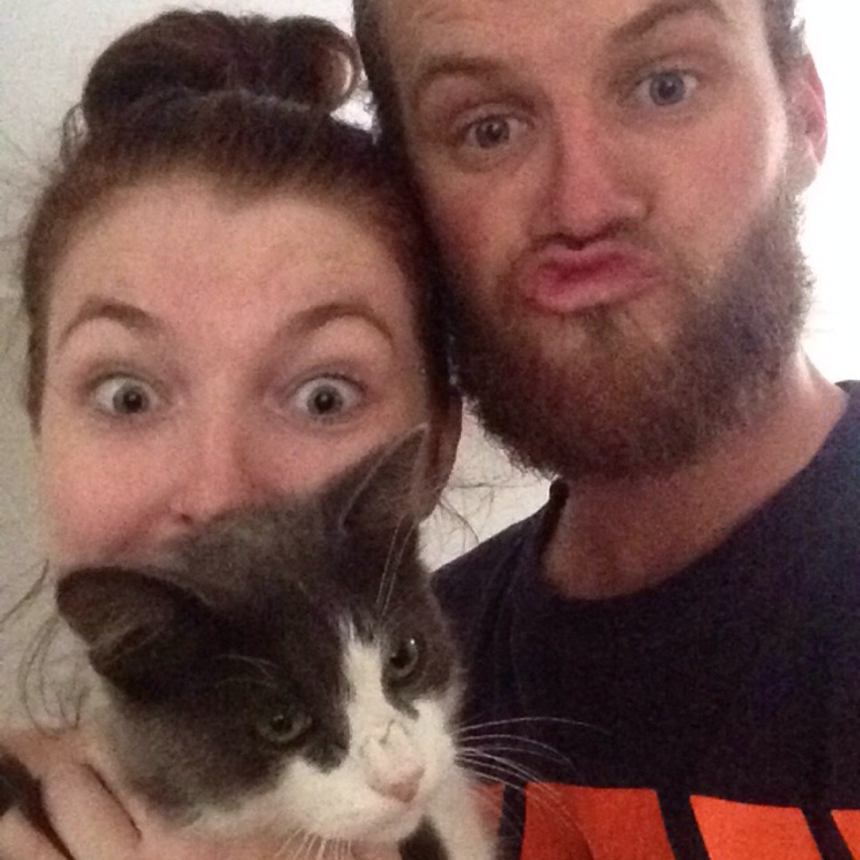 Abbytraill's profile picture. 