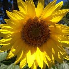 Kate_L14's profile picture. All opinions expressed are my own.