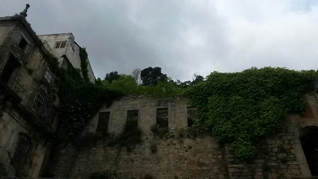 armgrig's profile picture. geek? - maybe.