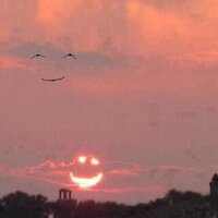 عشيقتكم فطوم (@fatom1233455555) Twitter profile photo