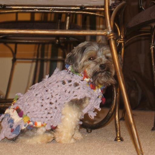 Dog lover, creator of recycled beauty