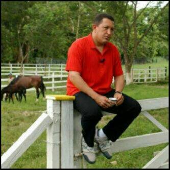 digitalweb115's profile picture. 