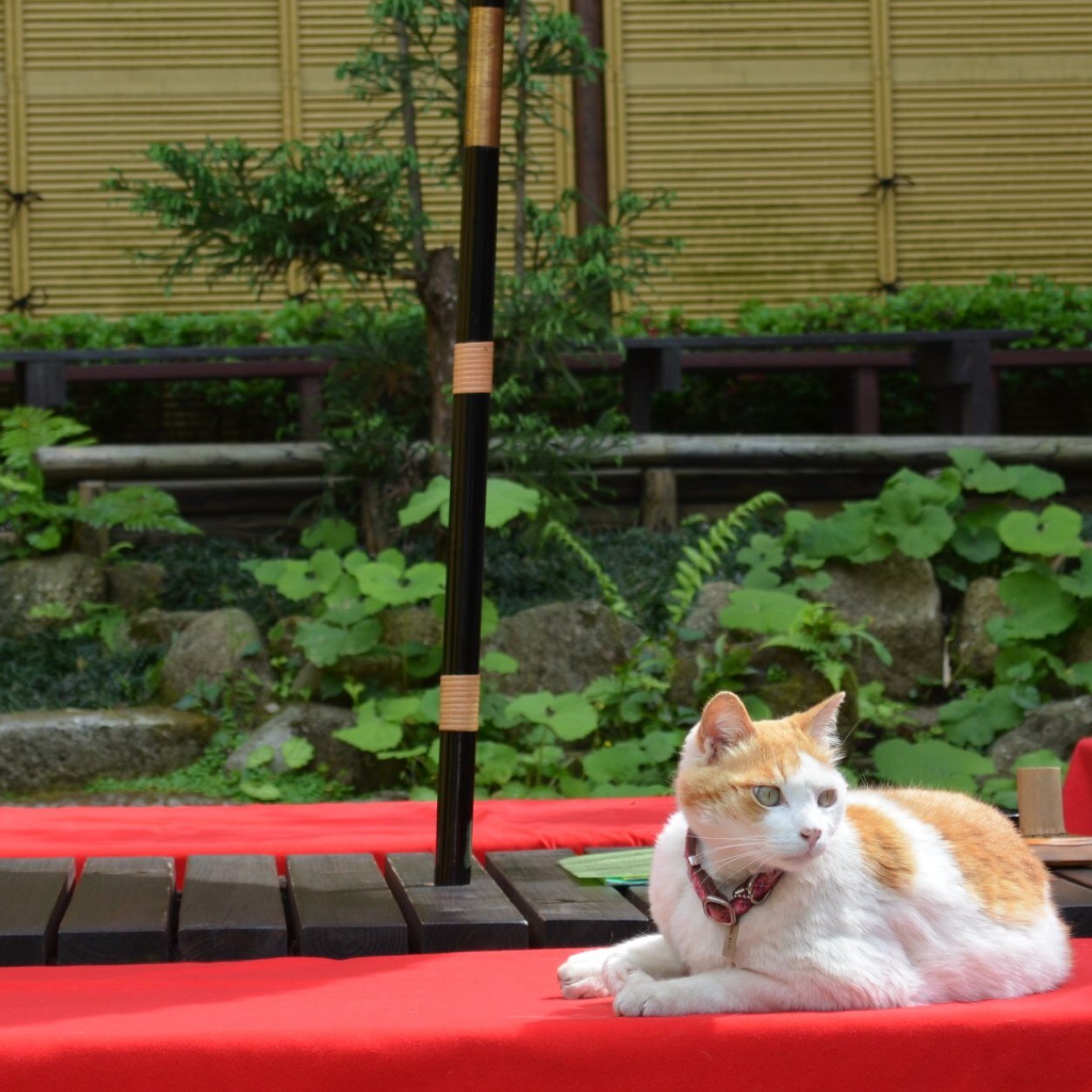 愛するものは犬(特にラブラドール)、アニメ、車(F1)、オノディ、サッカー、DGS、MARVEL、カメラ等々。サッカー＆F1哲学と持論を語らせたら止まりません。趣味が多すぎ・・・