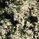 isabelle_power - @marieisabellew - Twitter