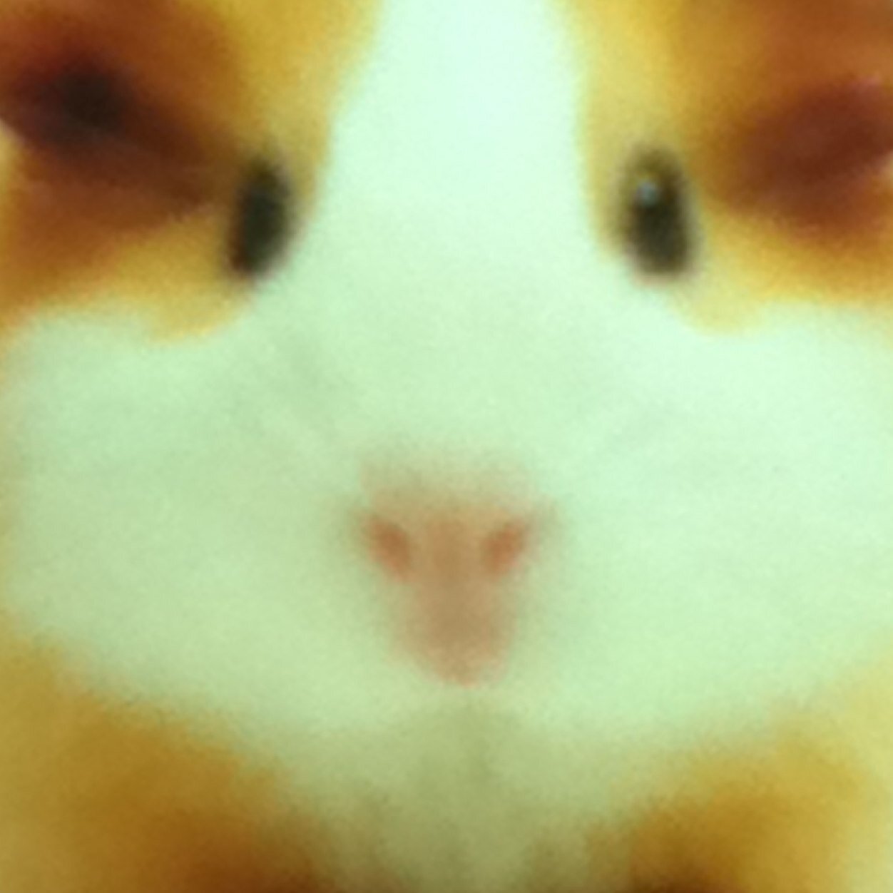 gladys_16155's profile picture. 