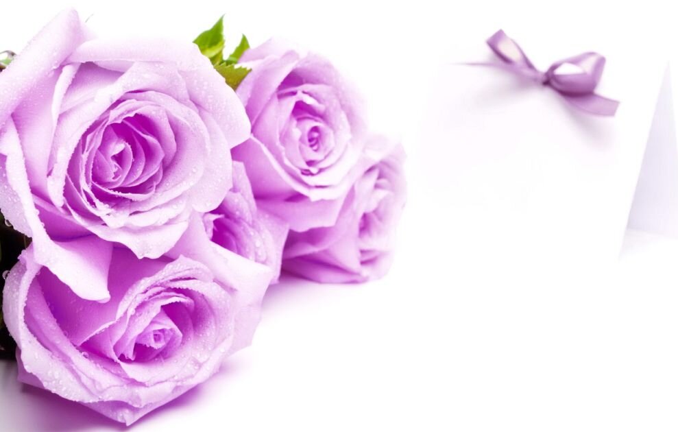 sabir8992's profile picture. shhh