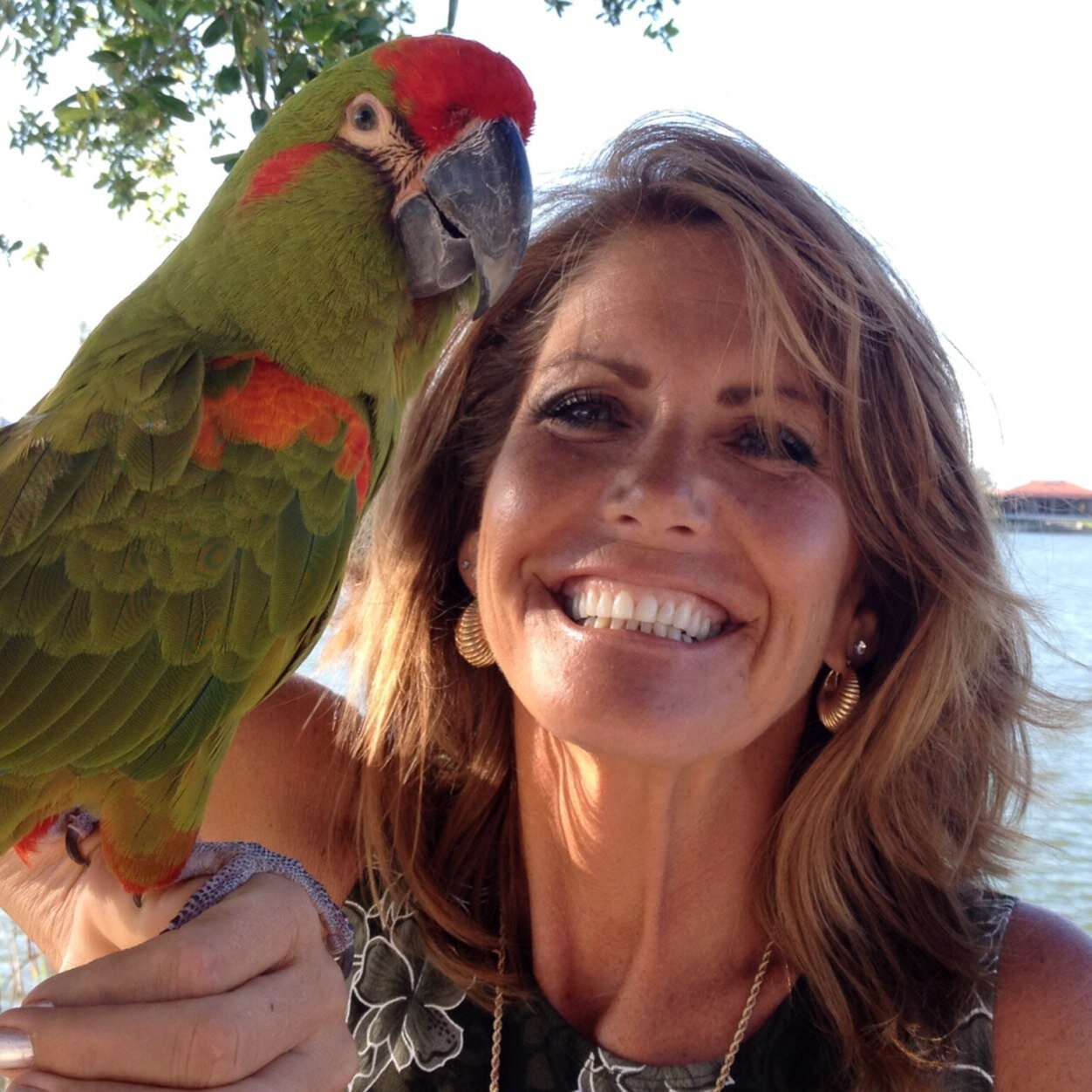 SallyMustang63's profile picture. 