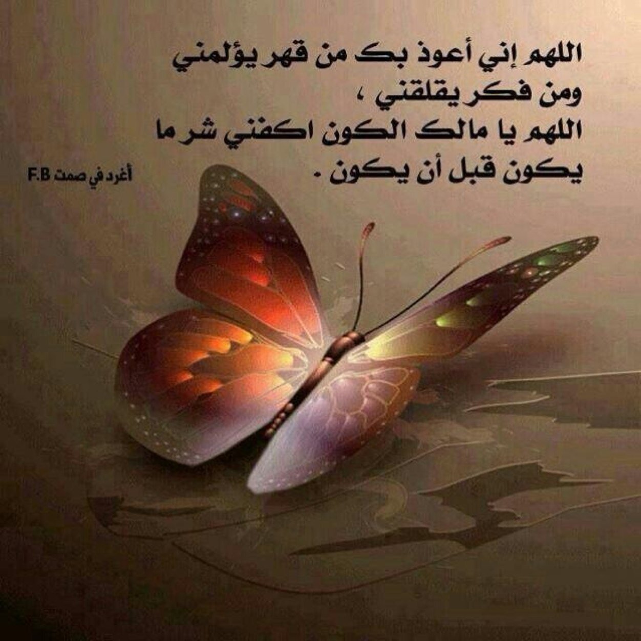 اشكر كل متابعيني واتمنى حسن ضنكم بي