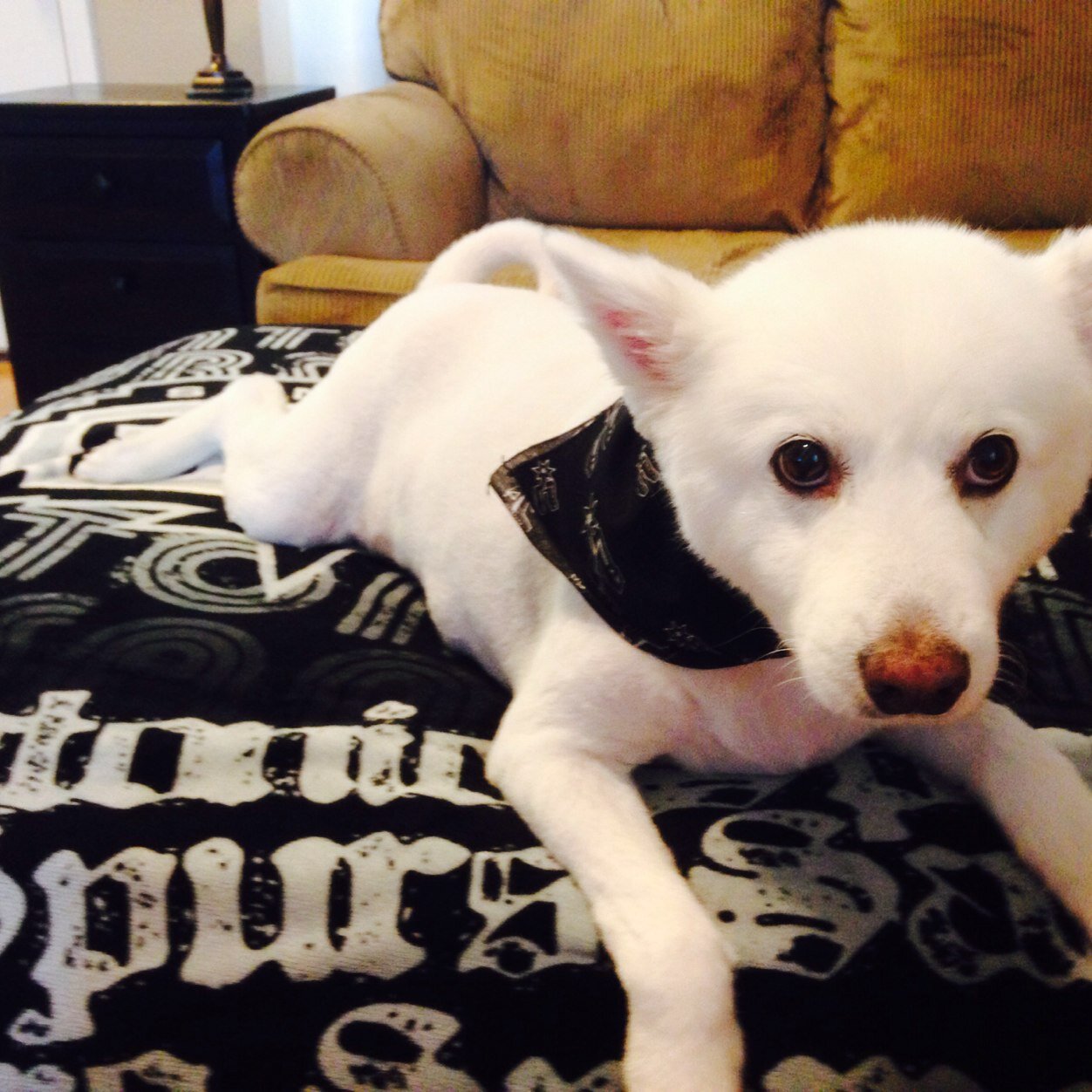 coadrd's profile picture. Elementary Physical Education Teacher