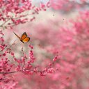 jill parker - @jillparker22 - Twitter