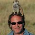 Gary Lawrence (@lawrencegary) Twitter profile photo Gary Lawrence (@lawrencegary) Twitter profile photo