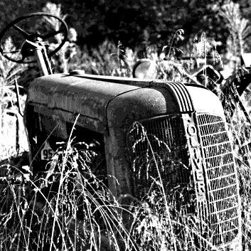 STT8's profile picture. 