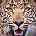 Inspirational Travel (@beinspired2go) Twitter profile photo