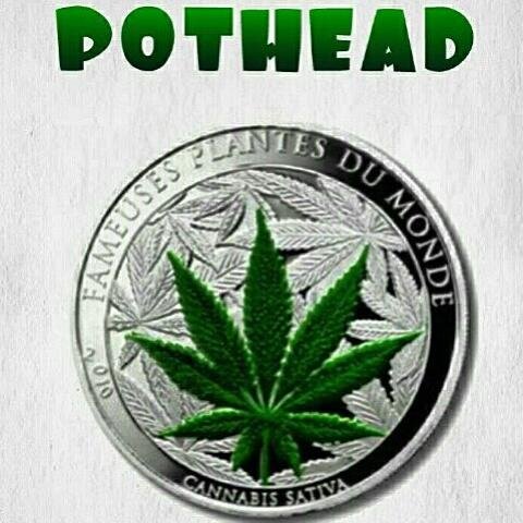 2muchSl33p's profile picture. 