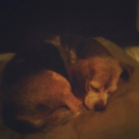 SpencerSeen's profile picture. 2022 Clark County (OH) Bowling Doubles Champion….North Carolina Tarheels, Tampa Bay Rays, Miami Hurricanes, Lakers, Packers, and i guess the Cincinnati Reds