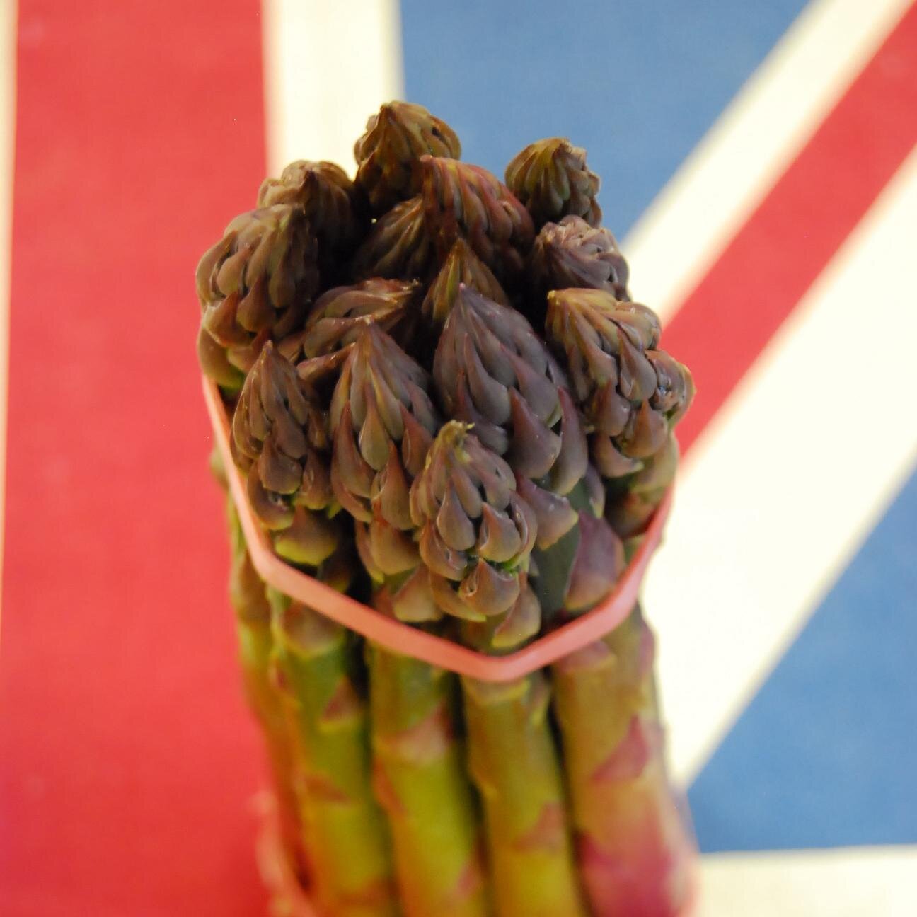 Farm based on the Norfolk/Suffolk border growing Asparagus, Onions, Potatoes, Sugar Beet and Barley.