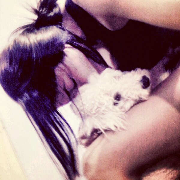 Voe alto, mais voe longe! ✌