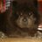 j_jg57's profile image
