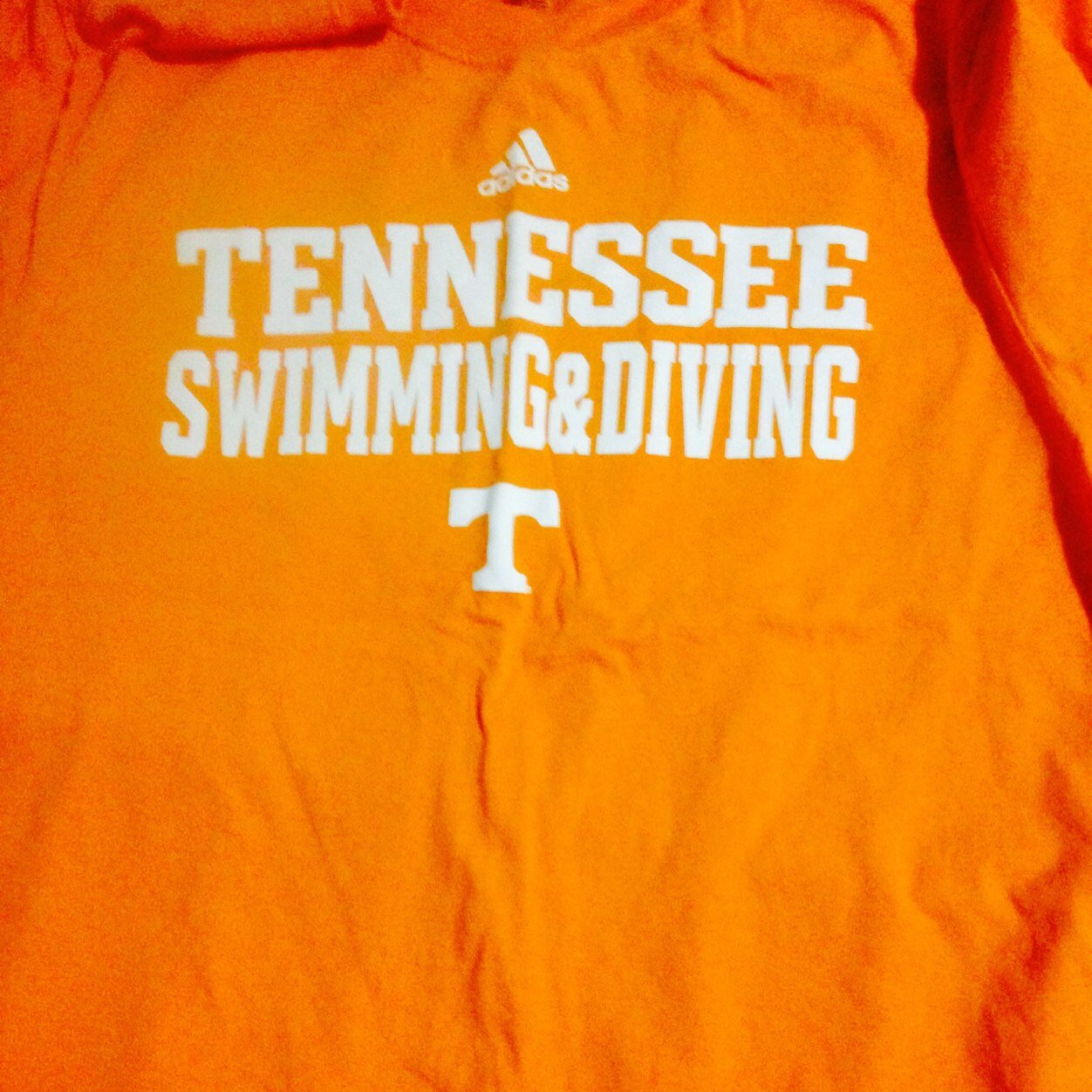 bigblueswimmer's profile picture. Head Swimming Coach, Wellesley College