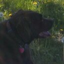 Bill Crowe - @bcrowe121070 - Twitter