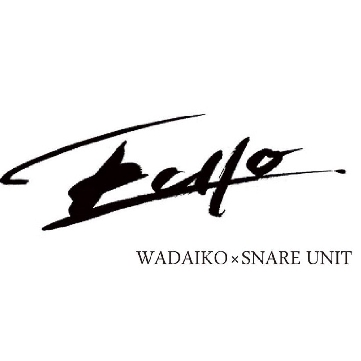 プロ和太鼓奏者 田矢聡とプロスネアドラマー畠山勝成 による折衷ドラムデュオECHO。 和洋から成る唯一無二のハイブリッドサウンドは各方面より高い評価を受けている。ツイキャスにてネットラジオ放送中！ 各種ご依頼お待ちしております。movieecho@gmail.com